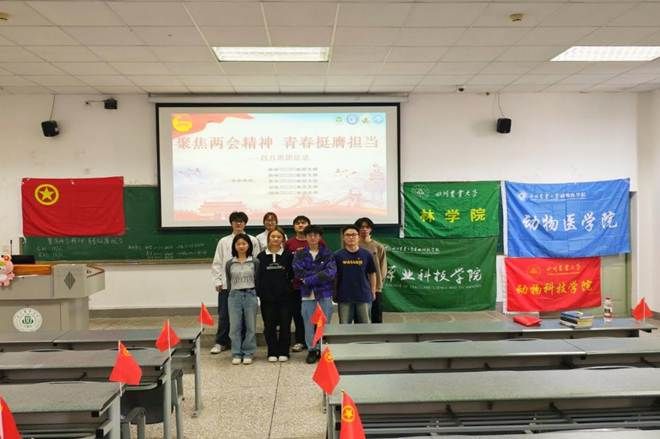 班团图片